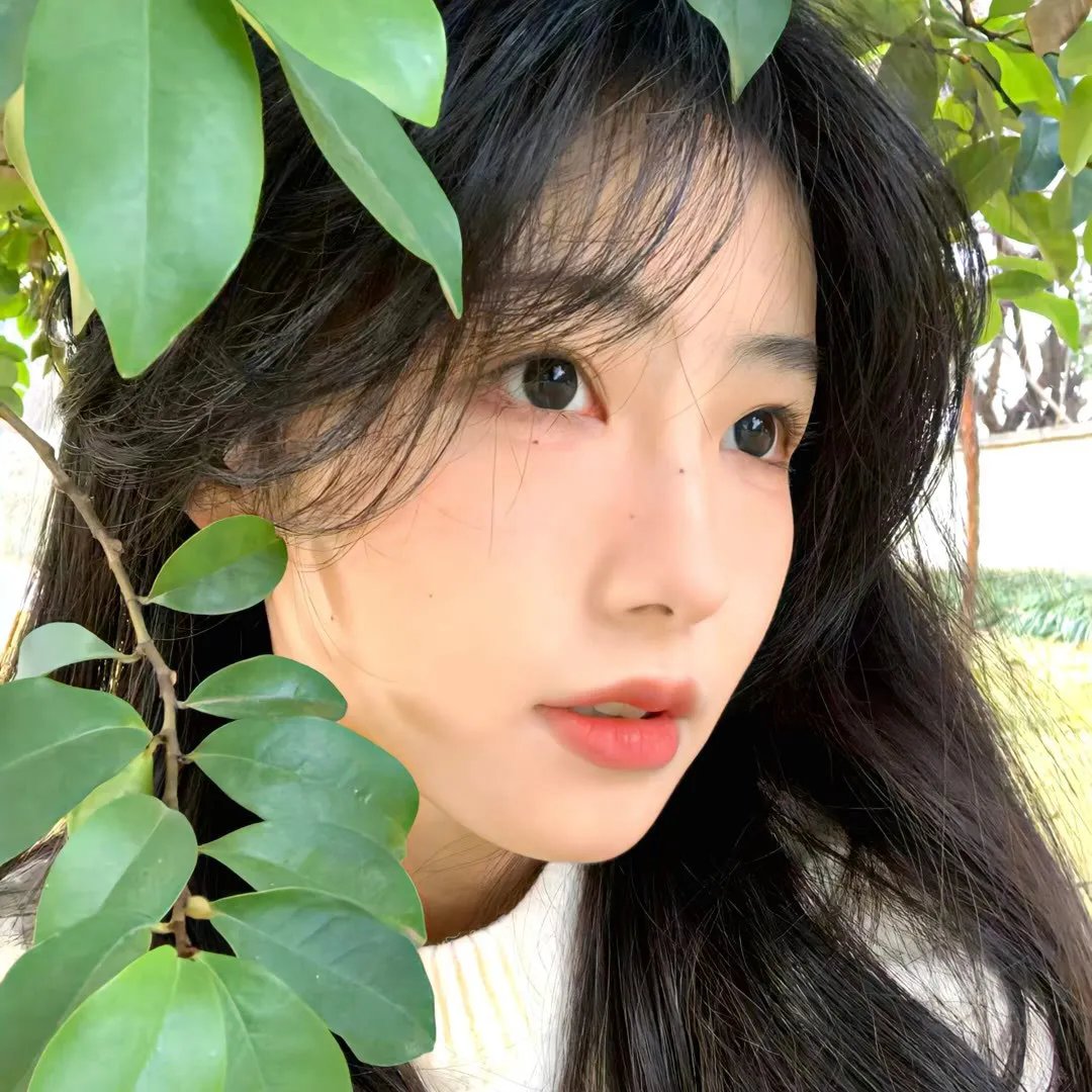 陌生的朋友